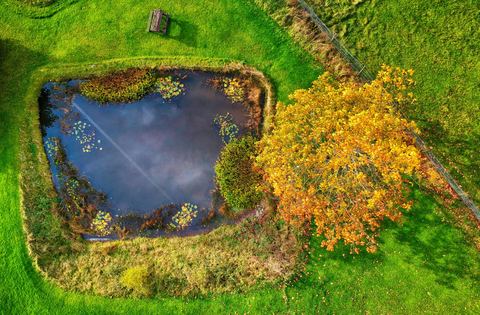 Aerial view of a fish pond surrounded by grass